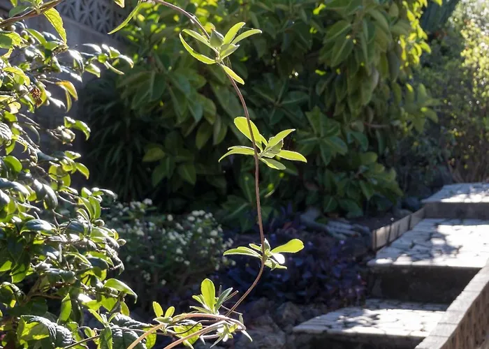 Casa Vreneli, Meerblick, * El Sauzal