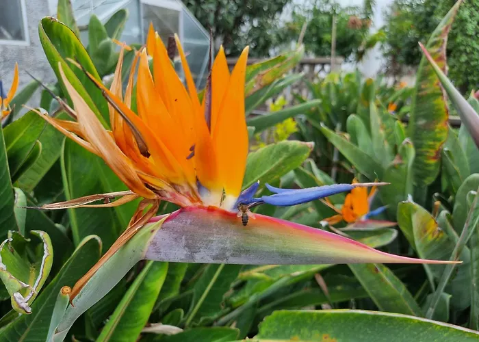 Casa Vreneli, Meerblick, *