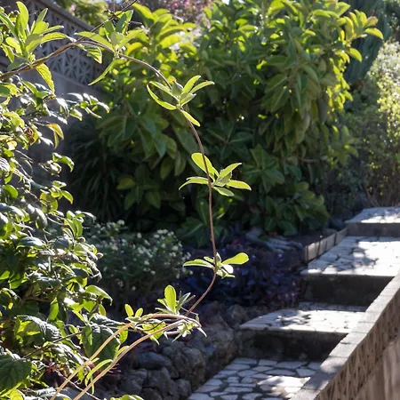 Casa Vreneli, Meerblick, * Sauzal