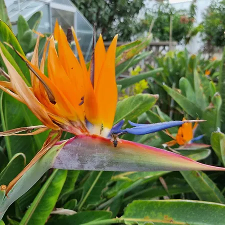 Casa Vreneli, Meerblick, *